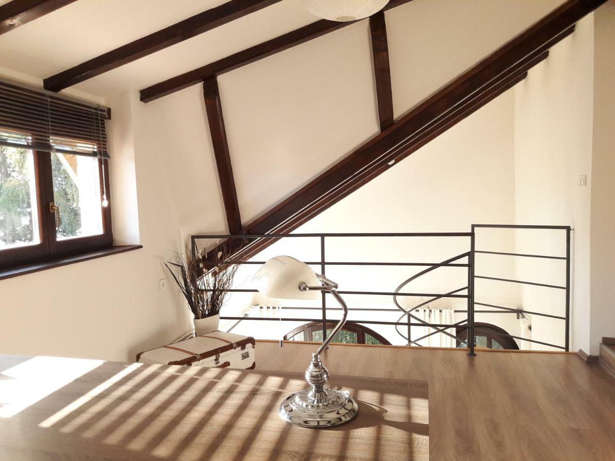 Spacious Apartment "Ana" On Lake Sabljaci Ogulin Extérieur photo