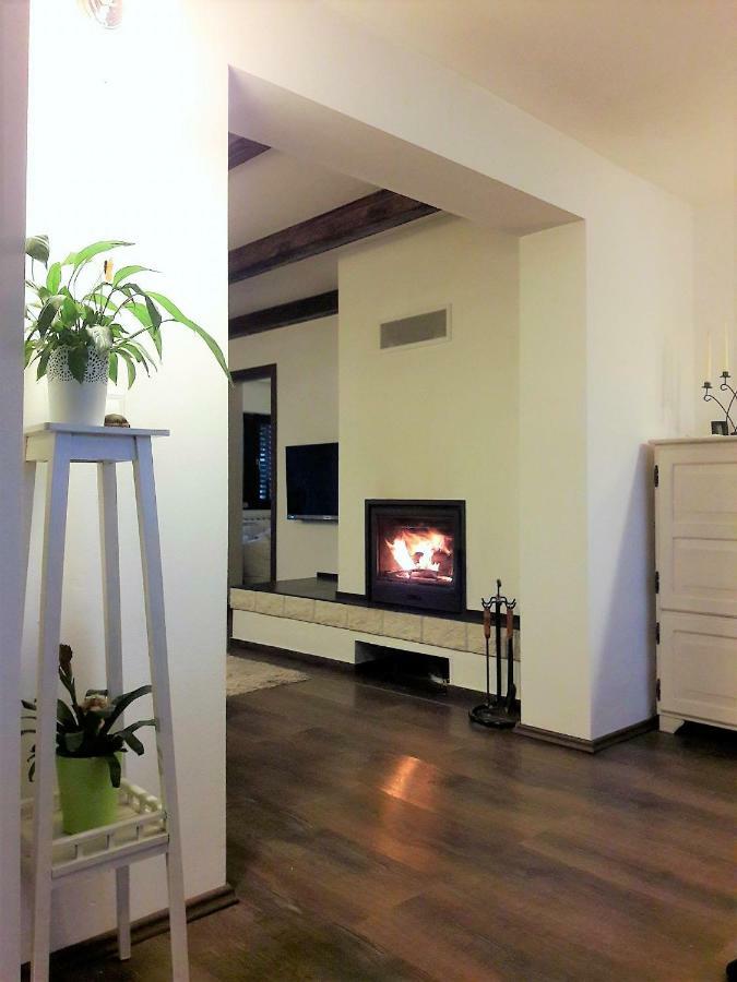 Spacious Apartment "Ana" On Lake Sabljaci Ogulin Extérieur photo