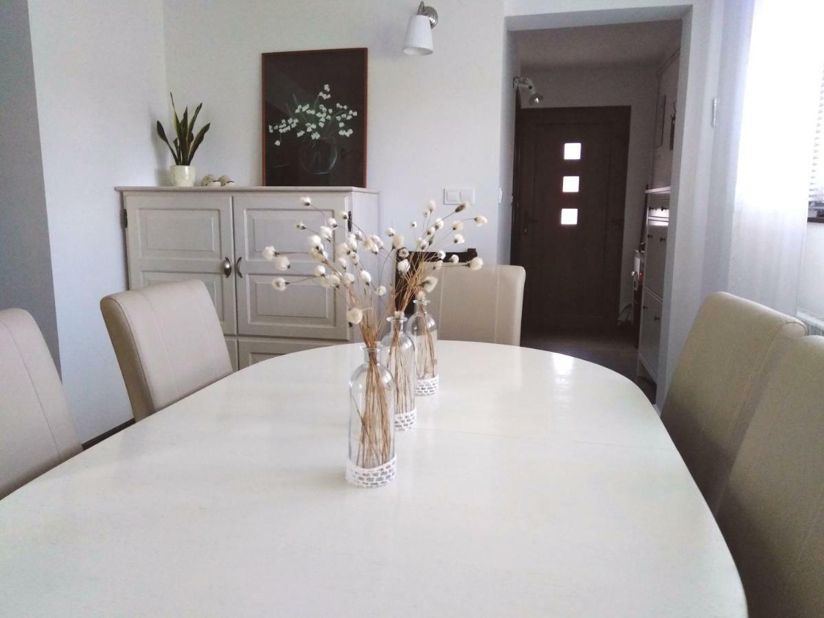 Spacious Apartment "Ana" On Lake Sabljaci Ogulin Extérieur photo